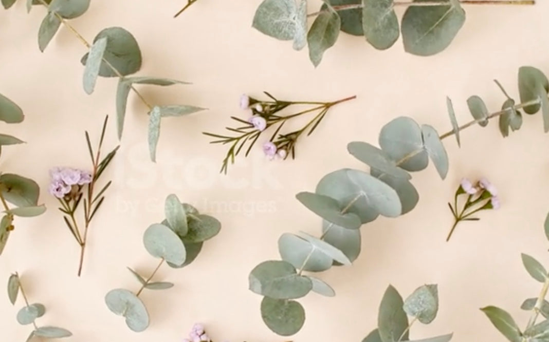 Eucalyptus Spearmint SS